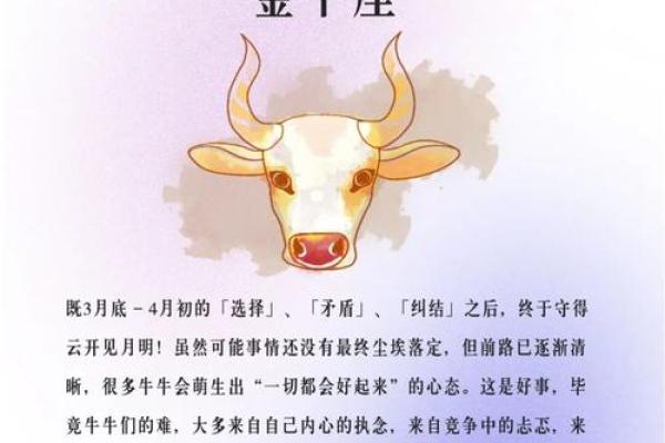 金牛座明日运势星座屋2025年3月28日