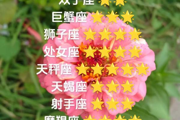 2025年3月29日白羊座今日运势第一星座网