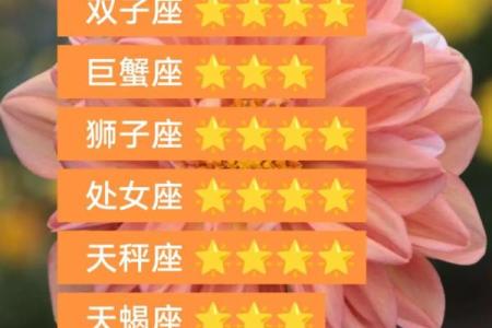 2025年3月22日处女座今日运势第一星座网