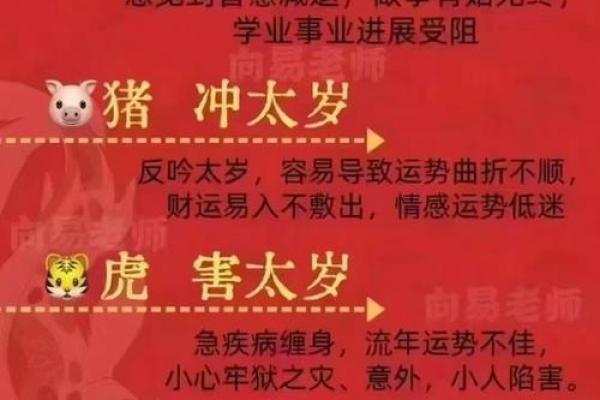 龙肝凤髓指什么生肖(龙肝凤髓的意思)