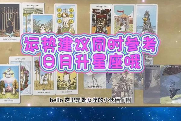 处女座12月运势_处女座十二月份运势