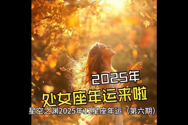 2025处女座女全年运势_2025年处女座女性全年运势详解与预测