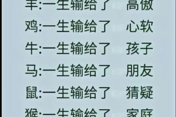 堂堂正正指什么生肖(堂堂正正打哪肖)