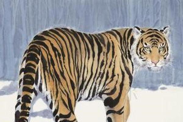 五湖四海打一生肖