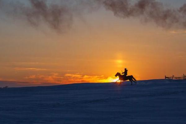 捕风捉影的最佳生肖(捕风捉影的最佳生肖是)