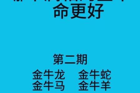 2025年12月金牛座运势详解财运与感情双丰收