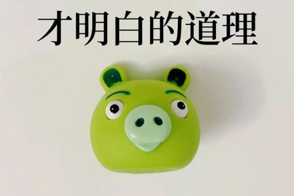 不撞南墙打一生肖(不撞南墙指的是什么生肖)