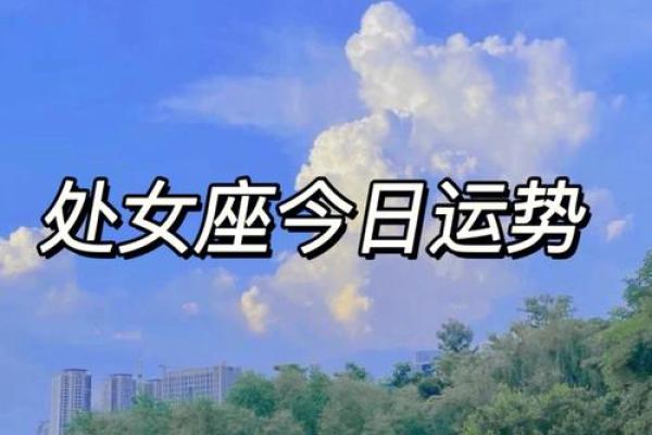 处女座昨日运势_双子座未来一周运势