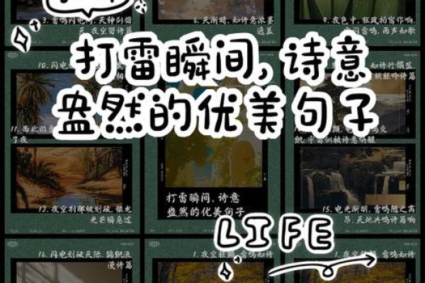 原野狂舞是什么生肖(原野狂舞猜生肖)