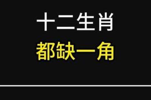 欲钱买媳妇是什么生肖