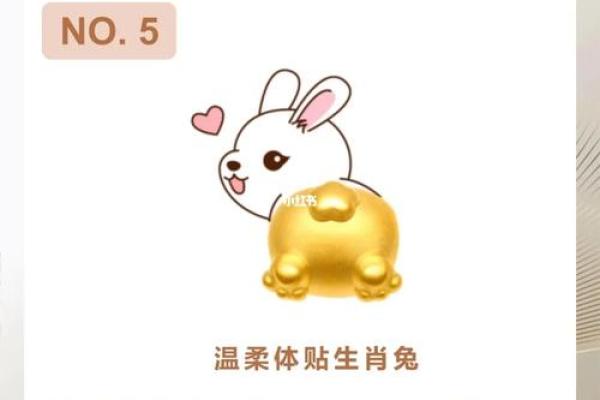 欲钱买媳妇是什么生肖