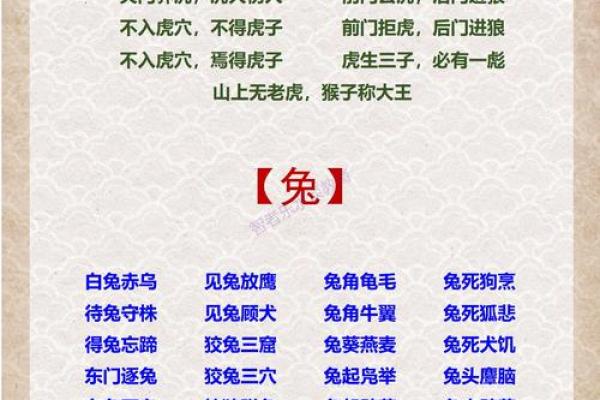 火急火燎是什么生肖(火急火燎是成语吗)