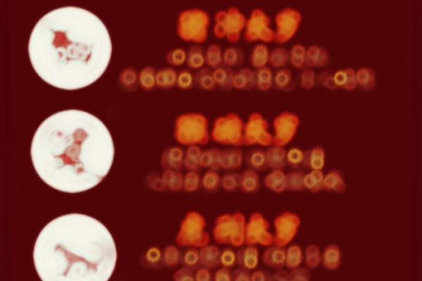 2025年属马人运势详解事业财运健康全预测