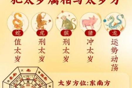 西边落阳指什么生肖(西边落阳形容什么生肖)