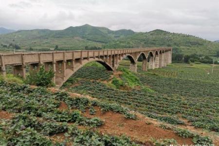 风餐露宿打一生肖(风餐露宿打个生肖)