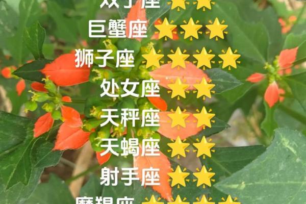 2025年3月26日白羊座今日星座运势