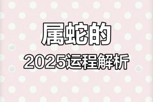 属蛇的2025年运势 2025蛇年运程全解属蛇人逐月运势大揭秘