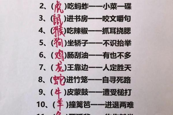 青梅竹马指什么生肖(青梅竹马指什么生肖打一动物)