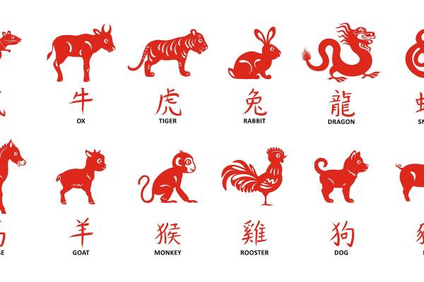 龙骧虎步是什么生肖(龙骧虎步是什么生肖百度知道)