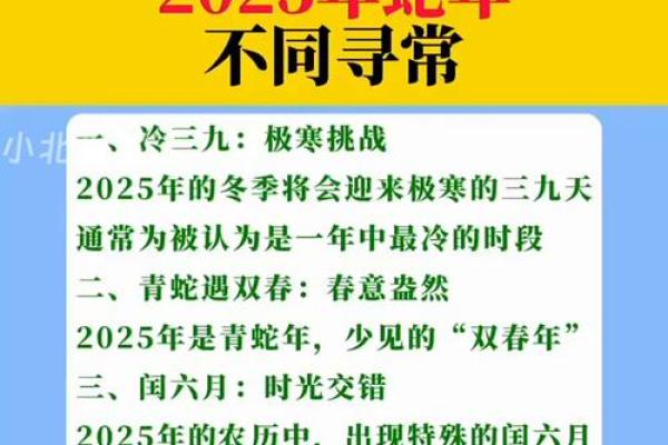 2025属蛇全年运程详解逐月运势与关键转折点