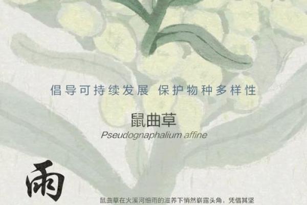 春风细雨是什么生肖(春风细雨整首诗怎么写)