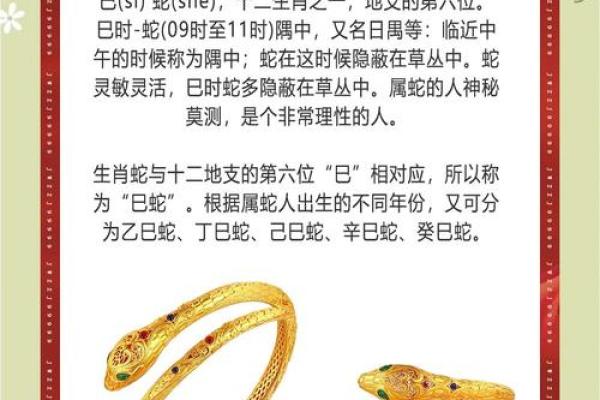 2025属蛇的是什么命_2025属蛇的是什么命正月出生怎么