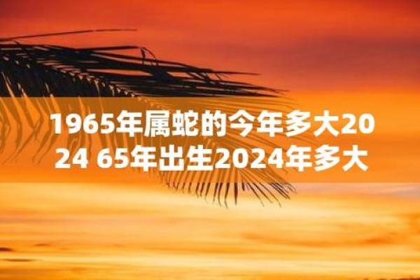 属蛇今年结婚黄道吉日(属蛇今年结婚黄道吉日农历12月份是哪天)