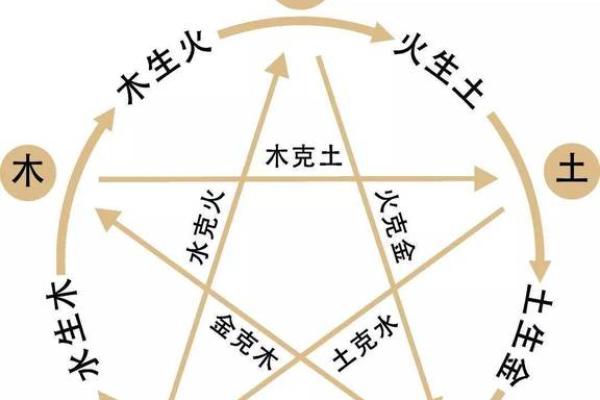 2024年的龙五行属什么_2024甲辰年属龙五行揭秘木属性命理解析