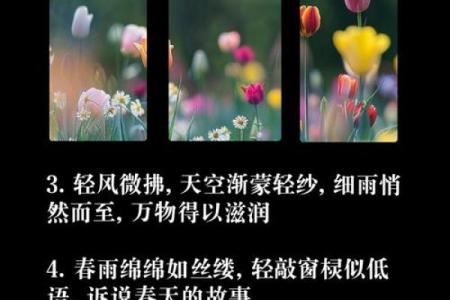 春雨如丝猜一生肖(春雨如丝什么意思)