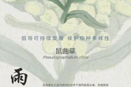 春风细雨是什么生肖(春风细雨整首诗怎么写)