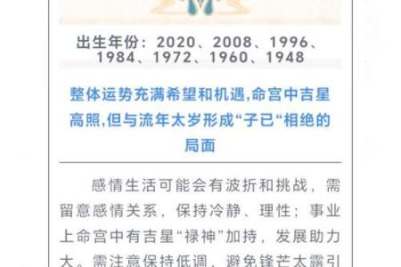 2025生肖星座运势_2025生肖星座运势大揭秘未来一年运势全解析