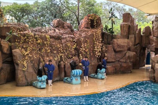 天上人间是什么生肖(天上人间是什么生肖)