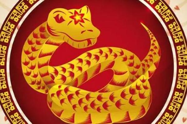 13年属蛇的今年多大了 2023年属蛇人年龄详解13年出生今年几岁含月份对照