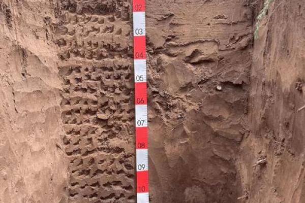 初一十五能动土吗