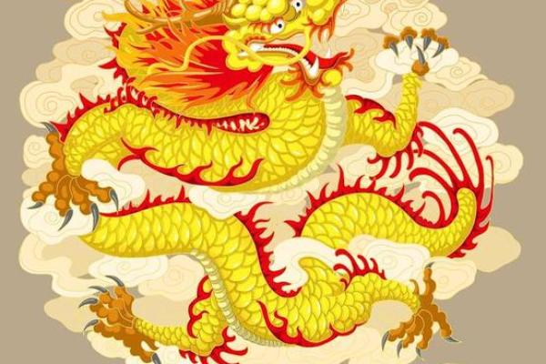 1976年属龙人2024年运势_1976属龙人2024龙年运势详解逐月运程与关键转折