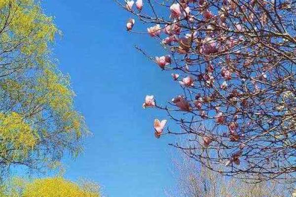 三月初八能动土吗 三月初八能动土吗