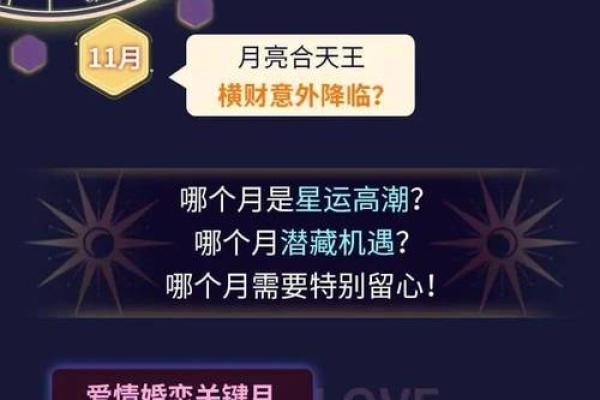 12星座屋运势_12星座屋运势解析2023年最新运势大揭秘