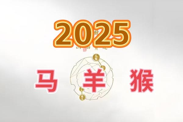 二零二五年属马人运势 2025年属马人的全年运势如何
