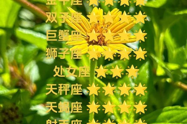 2025年3月29日白羊座今日运势第一星座网2024年