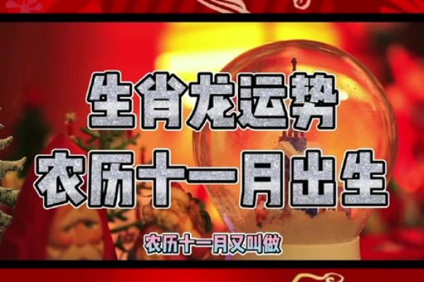 2000年龙在2025年运势 2000年属龙人2025年运势详解全年逐月运程解析