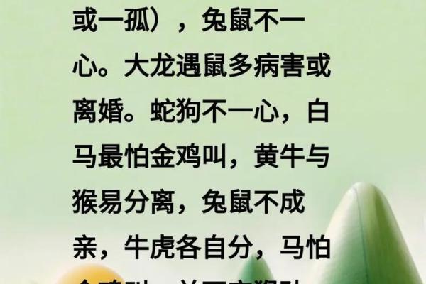 落地生根代表什么生肖(落地生根是什么生肖啊)