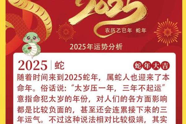 2025属蛇的要躲着谁_2025年属蛇人农历十月需远离的三大生肖