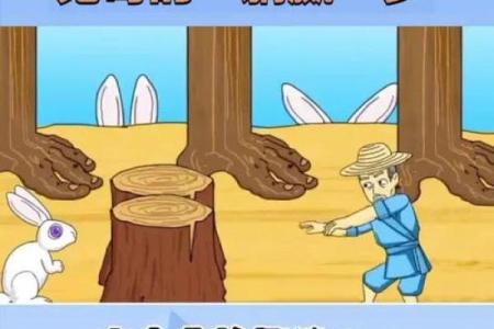 守株待兔打一生肖(守株待兔打一生肖最佳答案是鼠吗)