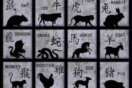 水木清华打一个生肖(水木清华是哪一肖)