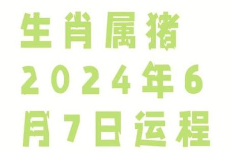 属猪人2023年开业吉日(属猪的人2021年适合开业)
