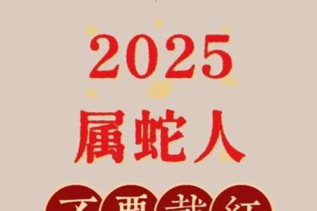 属蛇的在2025年的运势好不好呢 2025属蛇的大忌颜色