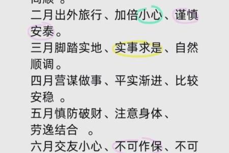 1990年属马人2025年财运解析运势提升关键点