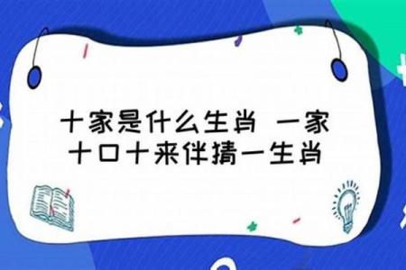 家家有的动物是什么生肖(家家有动物是什么生肖)