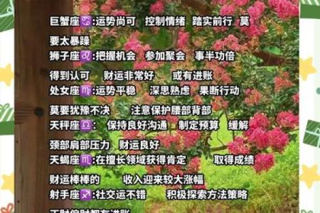 唐绮阳2025下半年星座运势解析12星座运势大揭秘