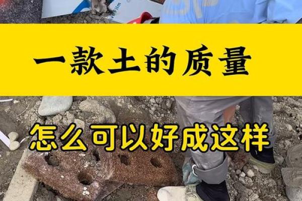 动土指的是什么(哪些行为算动土)